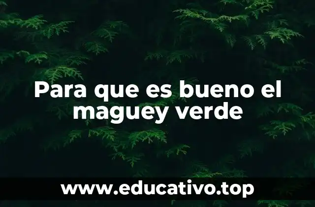 El maguey verde como alimento ancestral