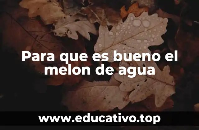 Para que es bueno el melon de agua