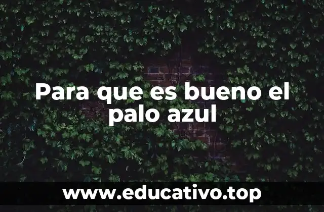 El palo azul en la medicina tradicional y moderna