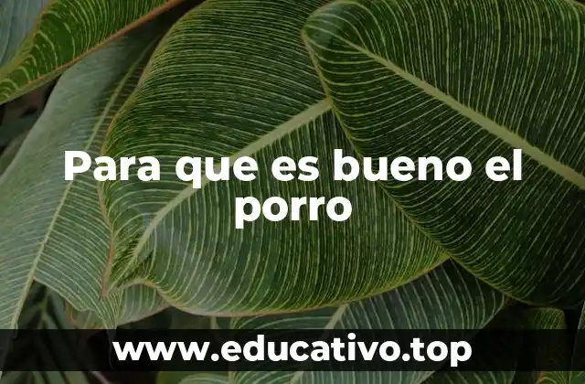 El porro y su impacto en la salud