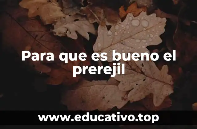 Para que es bueno el prerejil