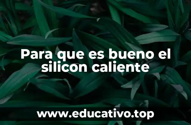 Para que es bueno el silicon caliente