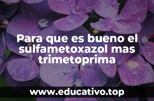 Uso del co-trimoxazol en la medicina actual