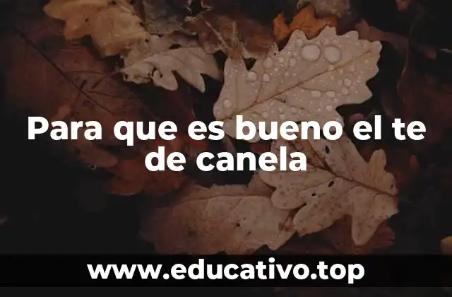 Para que es bueno el te de canela