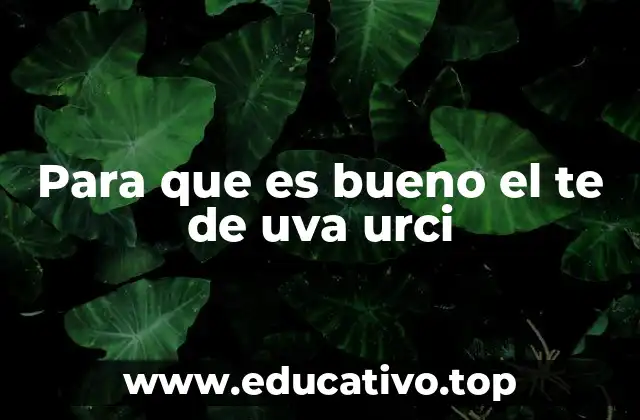 Para que es bueno el te de uva urci