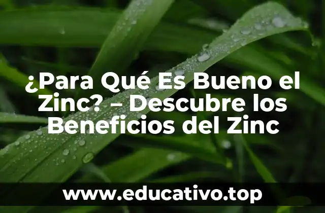 ¿Para Qué Es Bueno el Zinc? – Descubre los Beneficios del Zinc