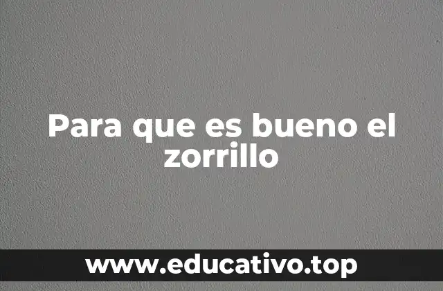 Para que es bueno el zorrillo