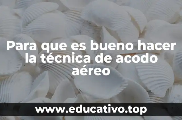 Para que es bueno hacer la técnica de acodo aéreo