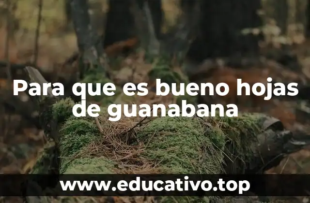 Para que es bueno hojas de guanabana