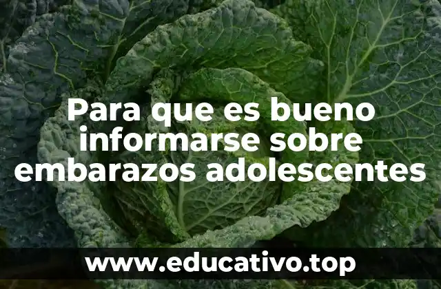 Para que es bueno informarse sobre embarazos adolescentes
