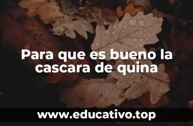 Para que es bueno la cascara de quina