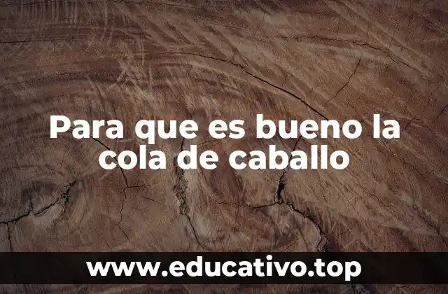 Para que es bueno la cola de caballo