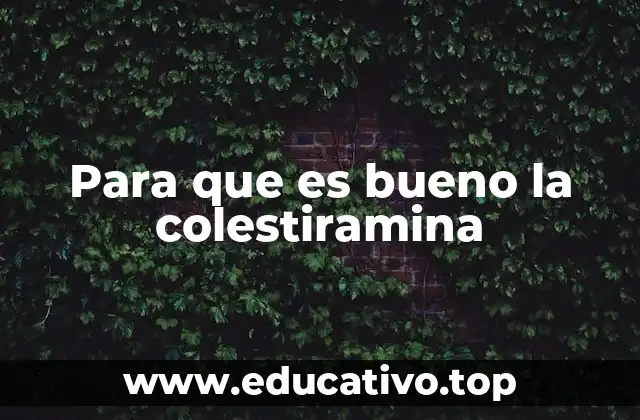 Para que es bueno la colestiramina