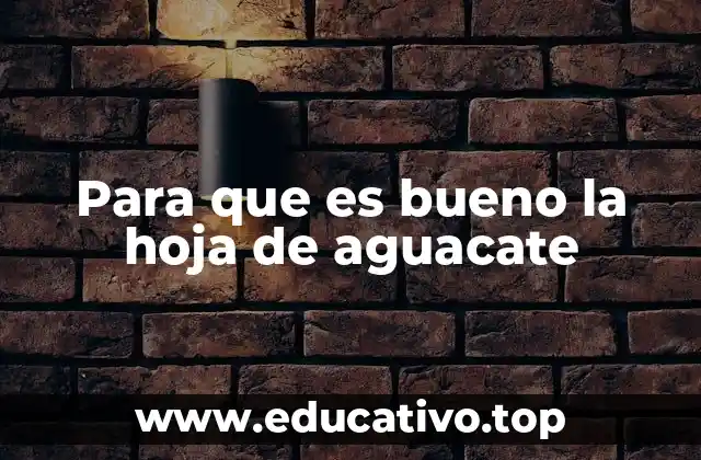 Para que es bueno la hoja de aguacate