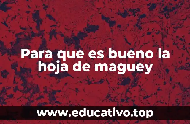 Para que es bueno la hoja de maguey