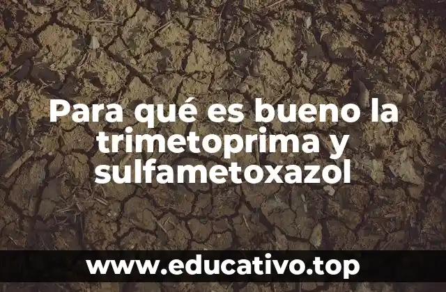 Para qué es bueno la trimetoprima y sulfametoxazol