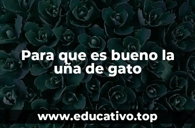 Para que es bueno la uña de gato