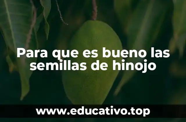 Para que es bueno las semillas de hinojo