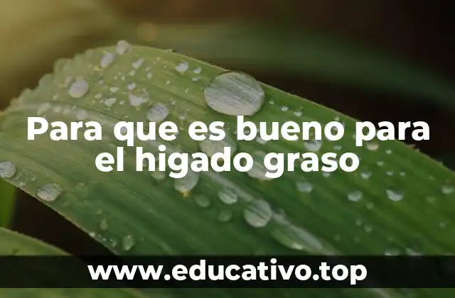 Para que es bueno para el higado graso