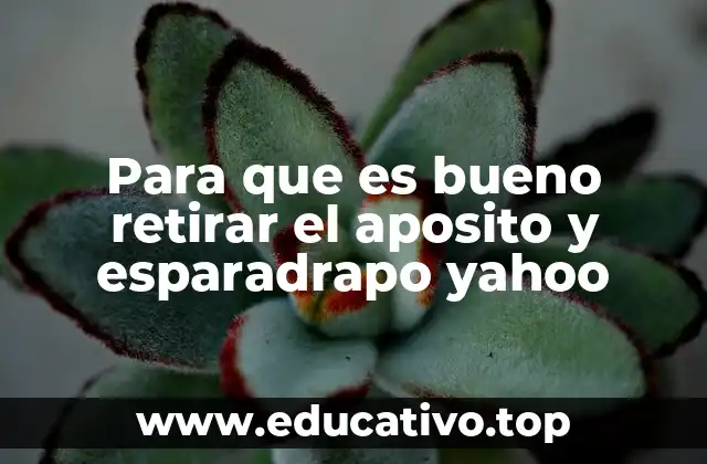 Cómo afecta el uso prolongado de apósitos y esparadrapos a la piel