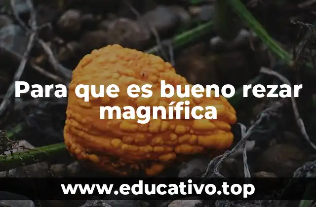 Para que es bueno rezar magnífica