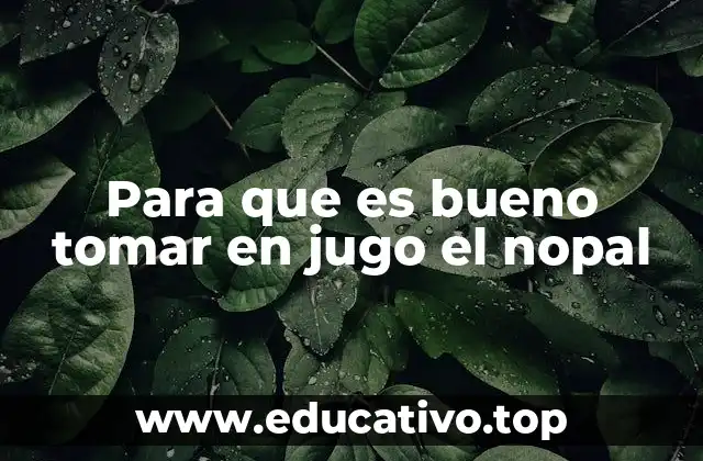 Para que es bueno tomar en jugo el nopal