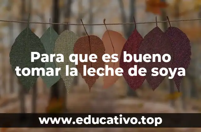 Para que es bueno tomar la leche de soya