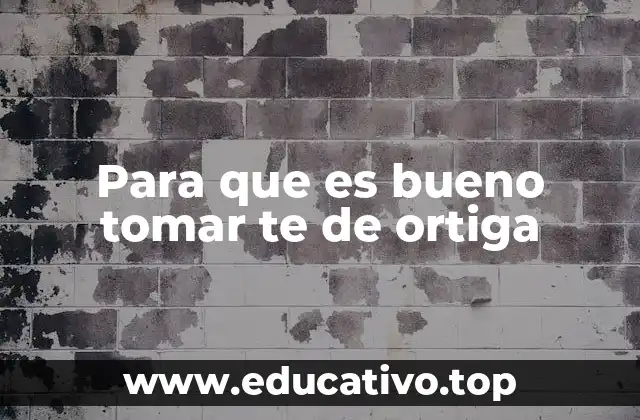 Para que es bueno tomar te de ortiga