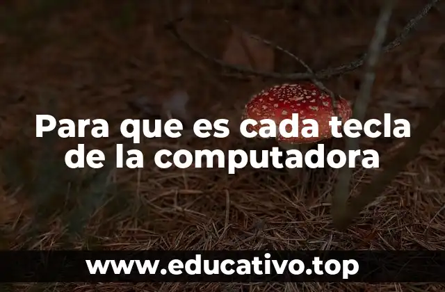 Para que es cada tecla de la computadora