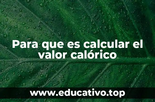 Para que es calcular el valor calórico