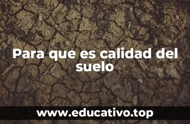 Para que es calidad del suelo