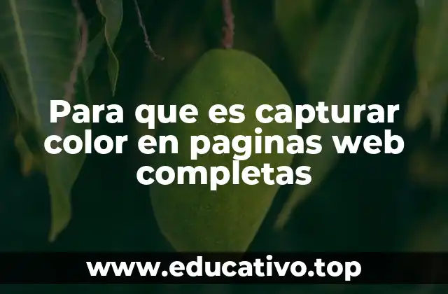 Para que es capturar color en paginas web completas