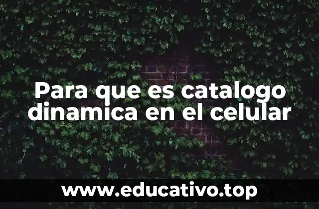 Para que es catalogo dinamica en el celular