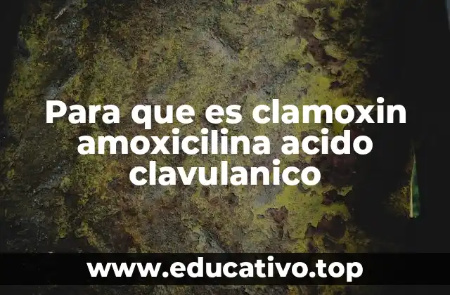 Para que es clamoxin amoxicilina acido clavulanico