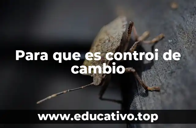 Para que es controi de cambio