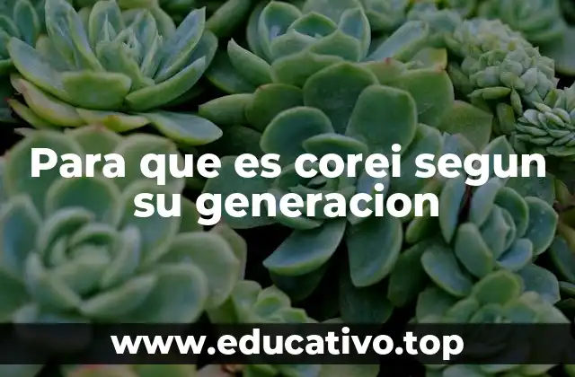Para que es corei segun su generacion