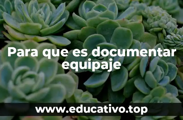 Para que es documentar equipaje