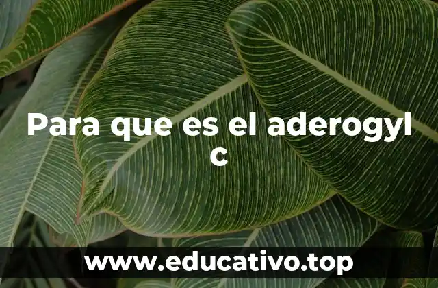 Para que es el aderogyl c
