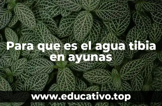 Para que es el agua tibia en ayunas