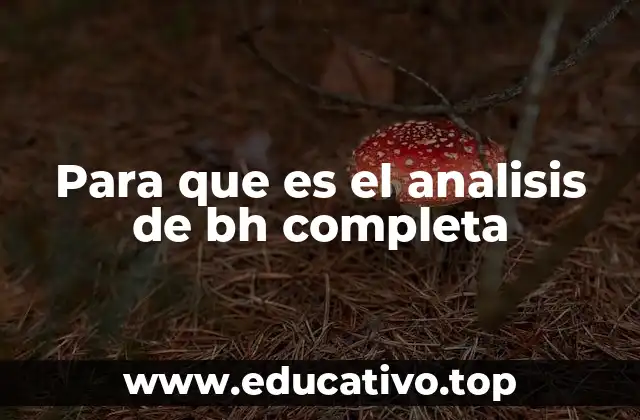 Para que es el analisis de bh completa