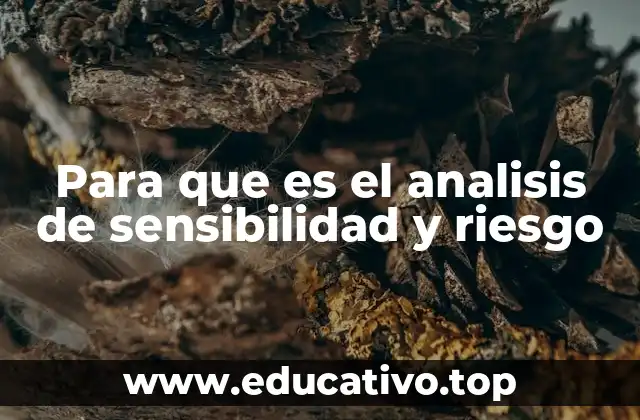Para que es el analisis de sensibilidad y riesgo