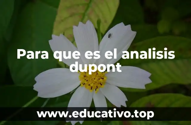 Para que es el analisis dupont