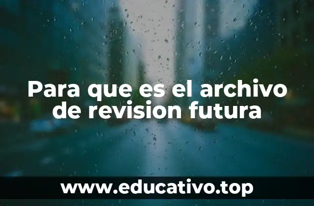 Para que es el archivo de revision futura