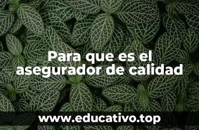 Para que es el asegurador de calidad