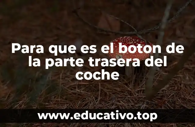 Para que es el boton de la parte trasera del coche