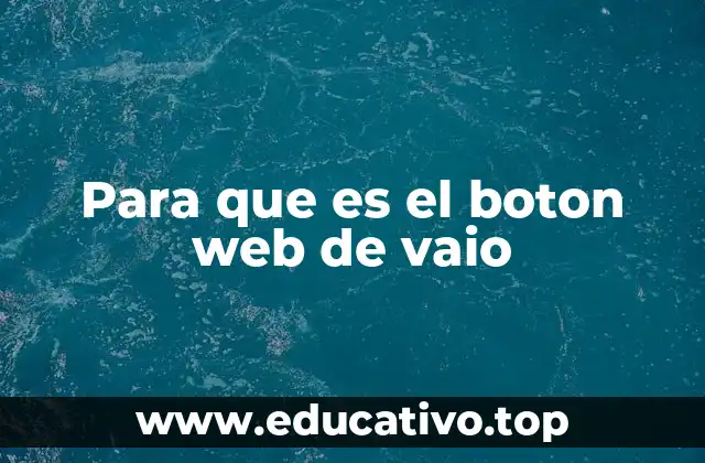 Para que es el boton web de vaio