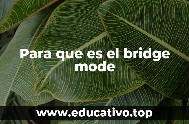 Cómo el bridge mode mejora la conectividad en redes domésticas