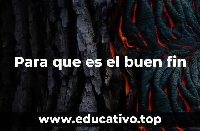 Para que es el buen fin