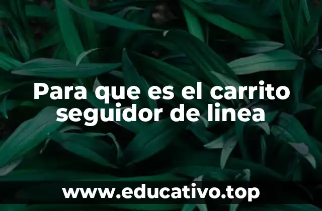 Para que es el carrito seguidor de linea