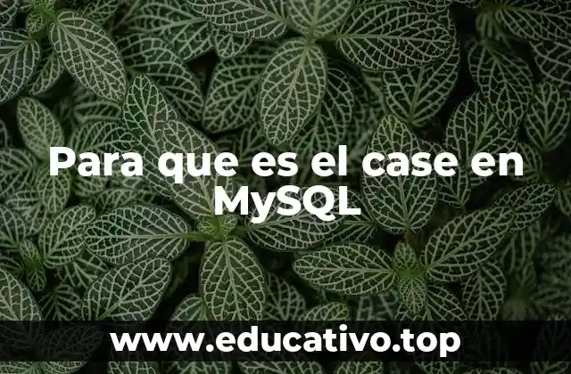 Para que es el case en MySQL